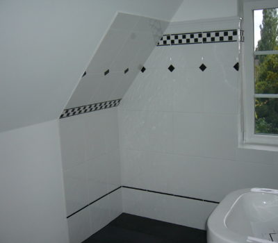 Conversion: attic conversion to new bathroom