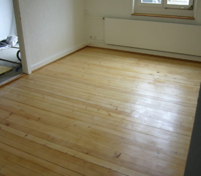 Reconstruction: kitchen, parquet, ceramic, painting, abrasion