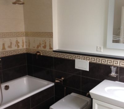 Reconstruction: bathroom and kitchen EFH